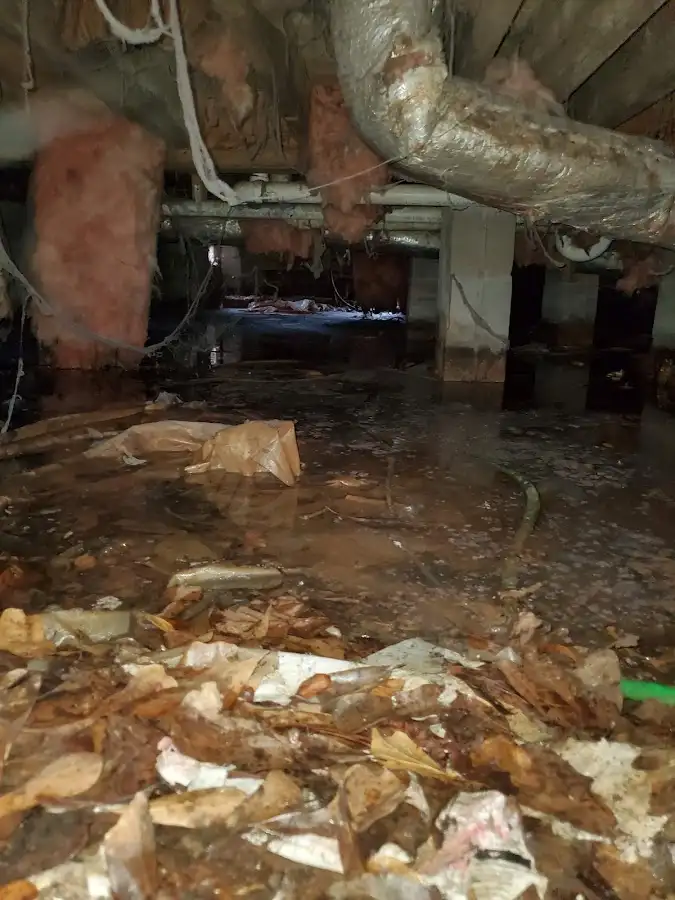 Crawl space flood assessment for Leak Detection & Repair in Yosemite Lakes